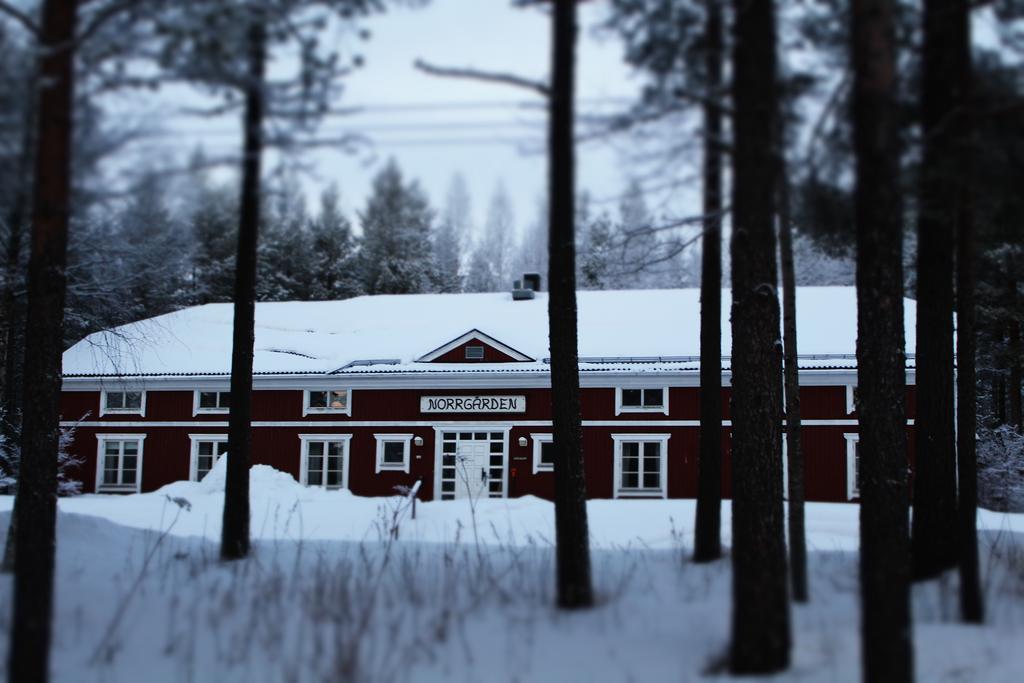 Svanstein Lodge Exteriér fotografie