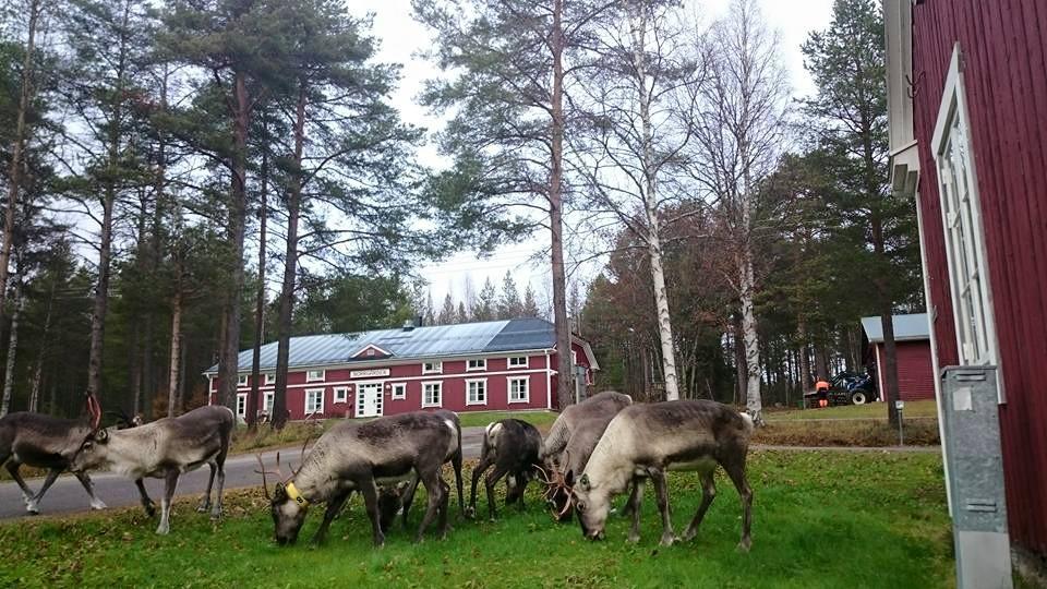Svanstein Lodge Exteriér fotografie